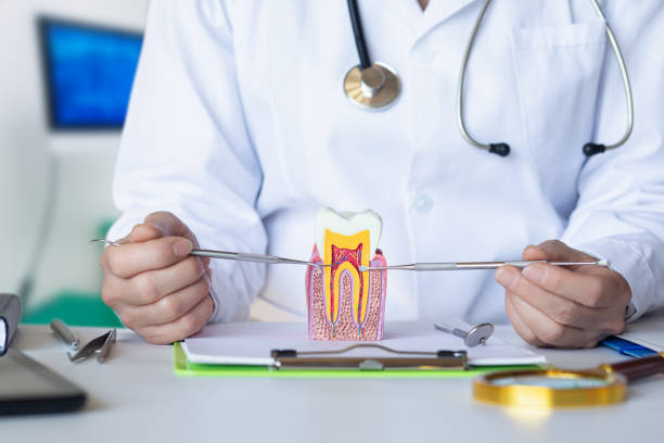 Best Cosmetic Emergency Dentistry in Whitefish Bay, WI